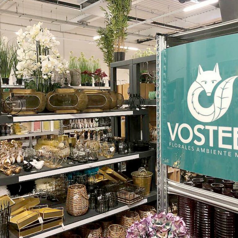 Artikel von Vosteen im Haus der Trends