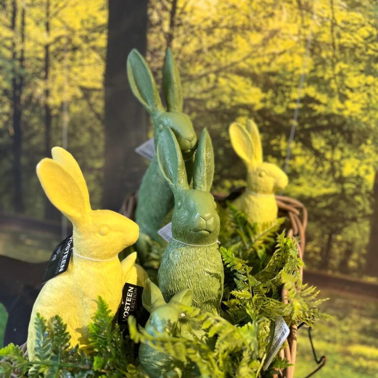 Vosteen &bull; Floristenbedarf &bull; IMG 20250820 WA0027