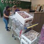 Saskia et Yvonne au travail