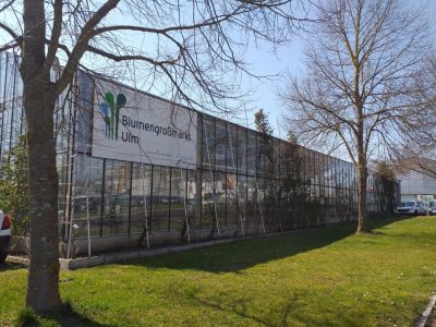 Grossiste en fleurs Ulm